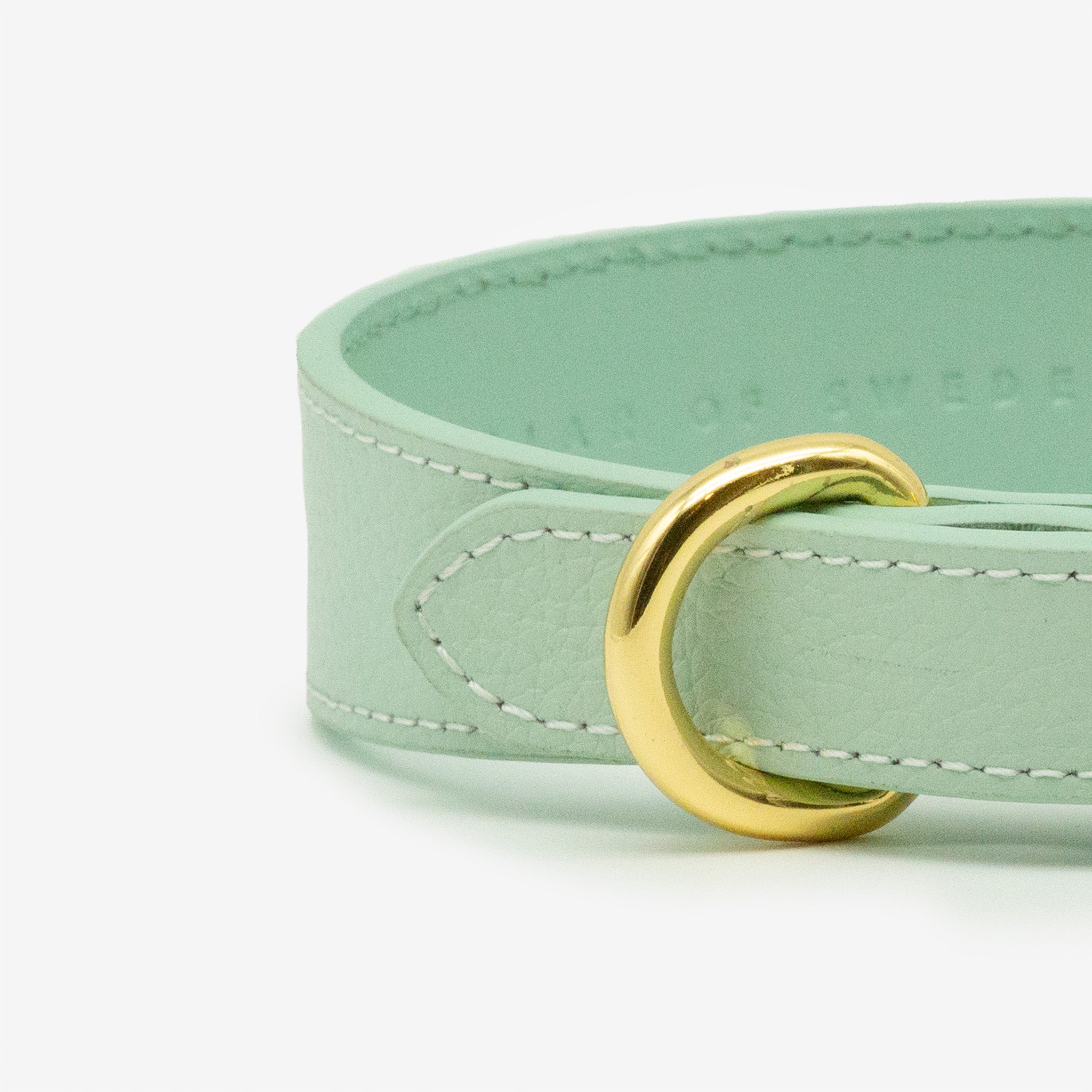Collier pour chien mince à la menthe 