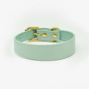 Collier pour chien mince à la menthe 