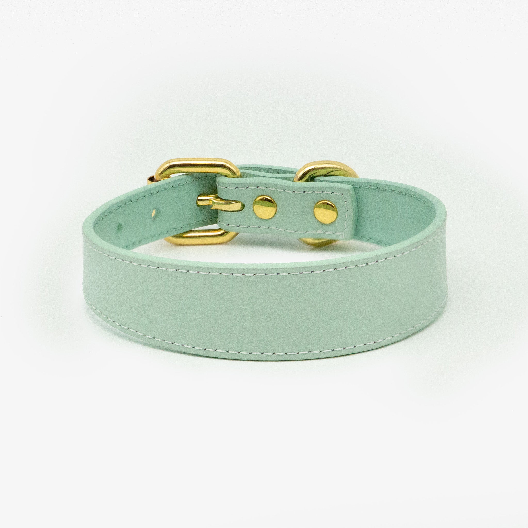 Collier pour chien mince à la menthe 