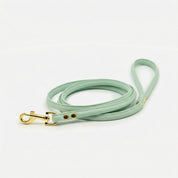 Mint Dog Lead