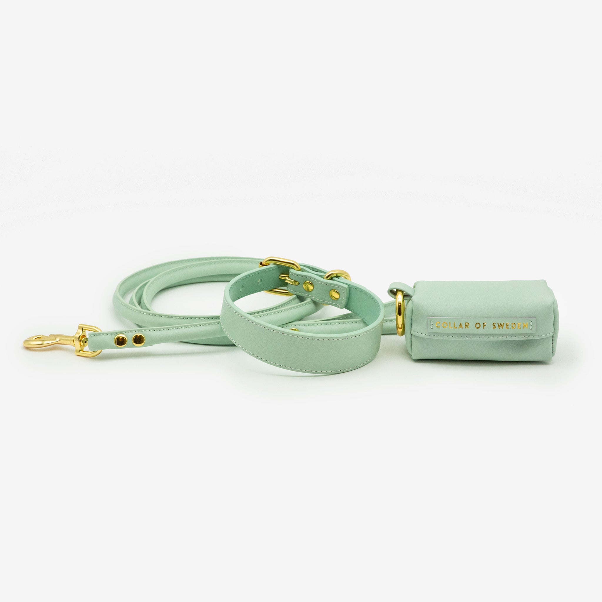 Collier pour chien mince à la menthe 