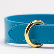 Collier de chien fin bleu néon