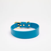 Collier de chien fin bleu néon