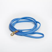 Laisse pour chien en bleu néon