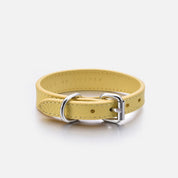 Collier pour chien jaune pastel fin