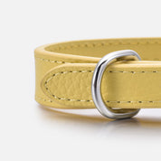 Collier pour chien jaune pastel fin