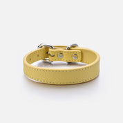 Collier pour chien jaune pastel fin