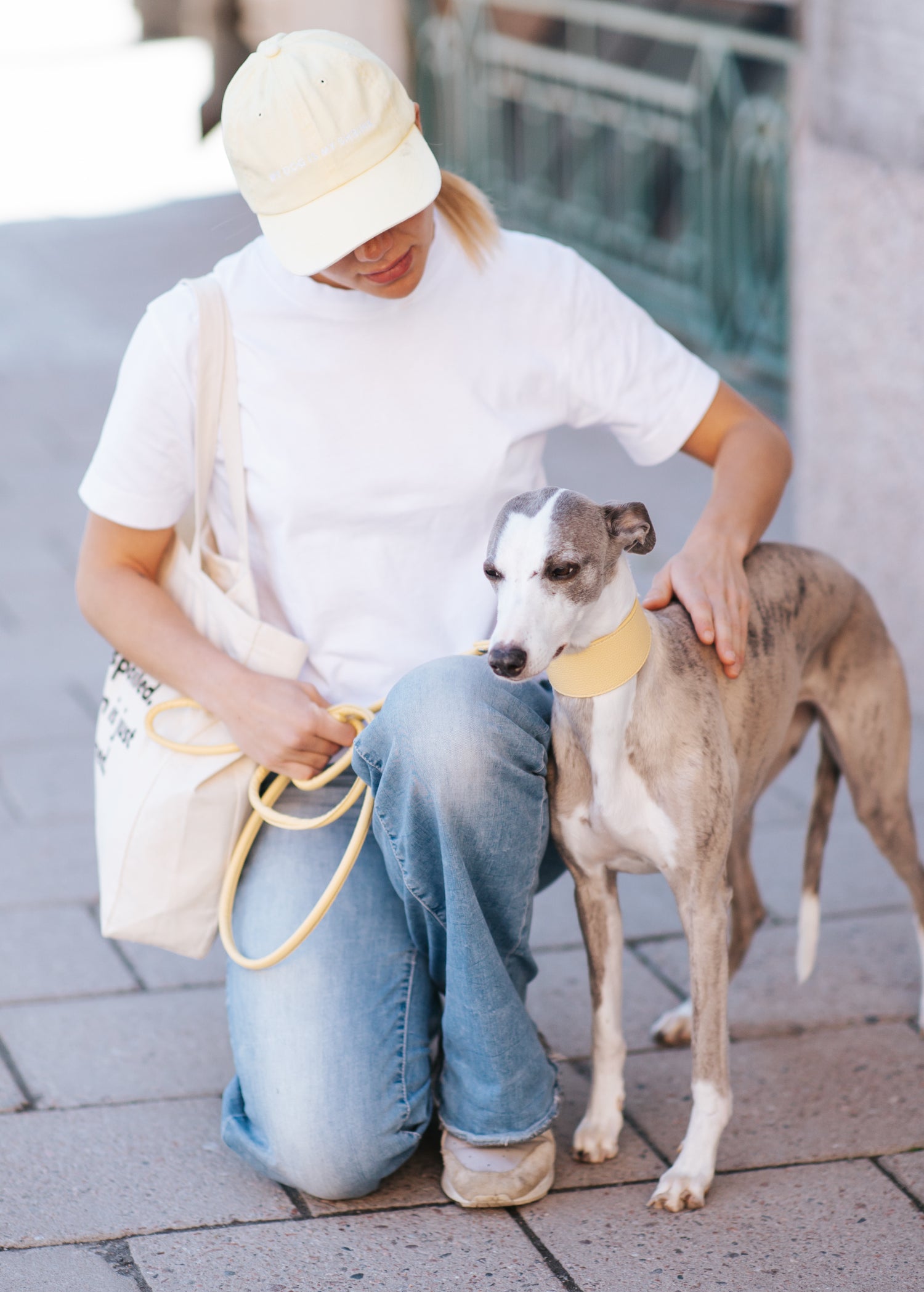 Laisse pour chien jaune pastel