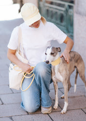 Laisse pour chien jaune pastel