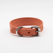 Peach Dog Collar Thin