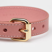 Collier pour chien rose fin