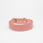 Collier pour chien rose fin