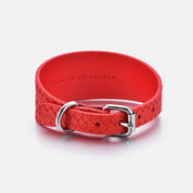 Collier pour chien tressé rouge pur large