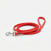 Laisse pour chien rouge pure