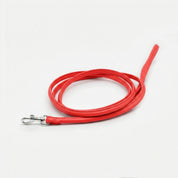 Laisse pour chien rouge pure