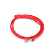 Laisse pour chien rouge pure