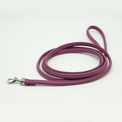 Laisse pour chien prune