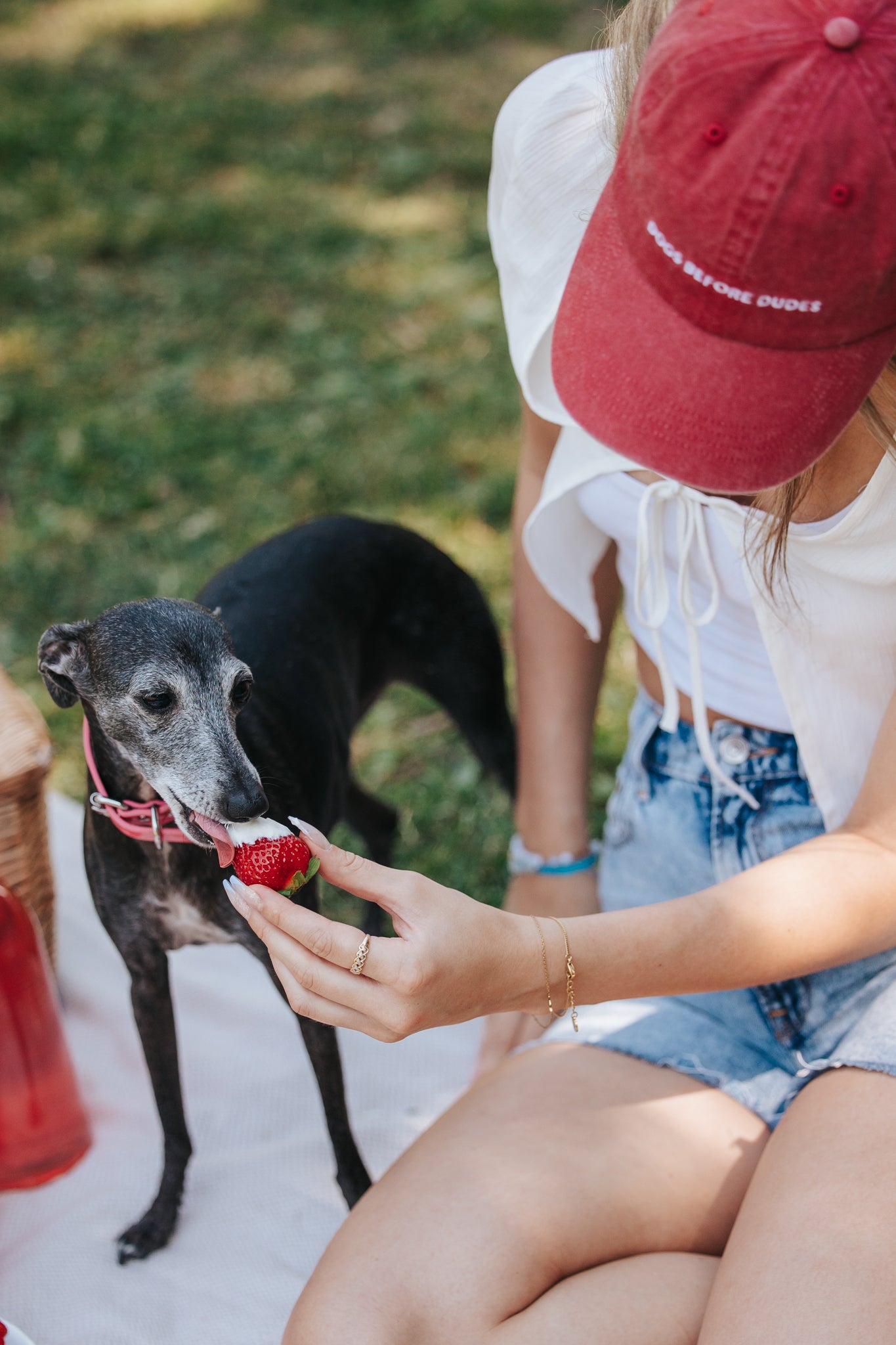 Casquette en denim rouge - Chiens avant les mecs