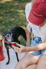 Casquette en denim rouge - Chiens avant les mecs