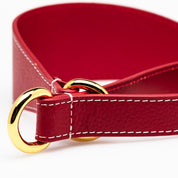 Collier martingale large pour chien rouge 