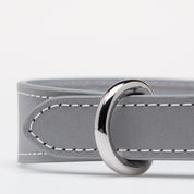 Collier de chien réfléchissant argenté mince