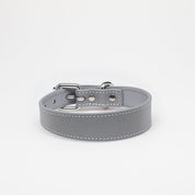 Collier de chien réfléchissant argenté mince