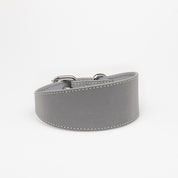 Collier de chien réfléchissant en argent large