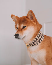 Collier pour chien à carreaux beige large


