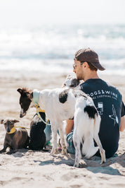 T-shirt Noir  - Dogs & Wine Make Everything Fine