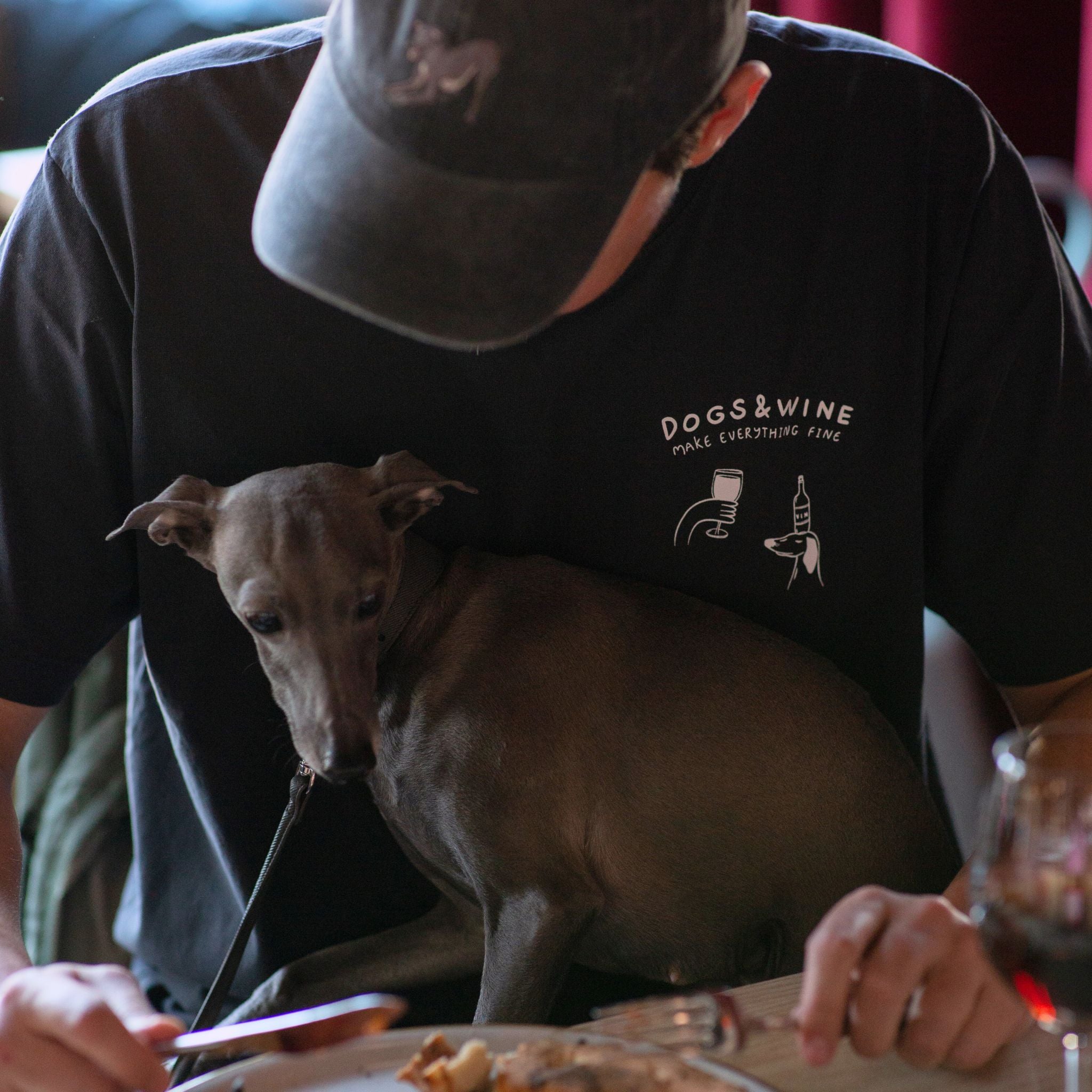 T-shirt Noir  - Dogs & Wine Make Everything Fine