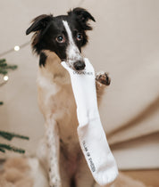 Chaussettes tubulaires blanches - The Dogfather