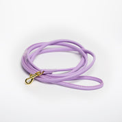 Laisse de chien violet