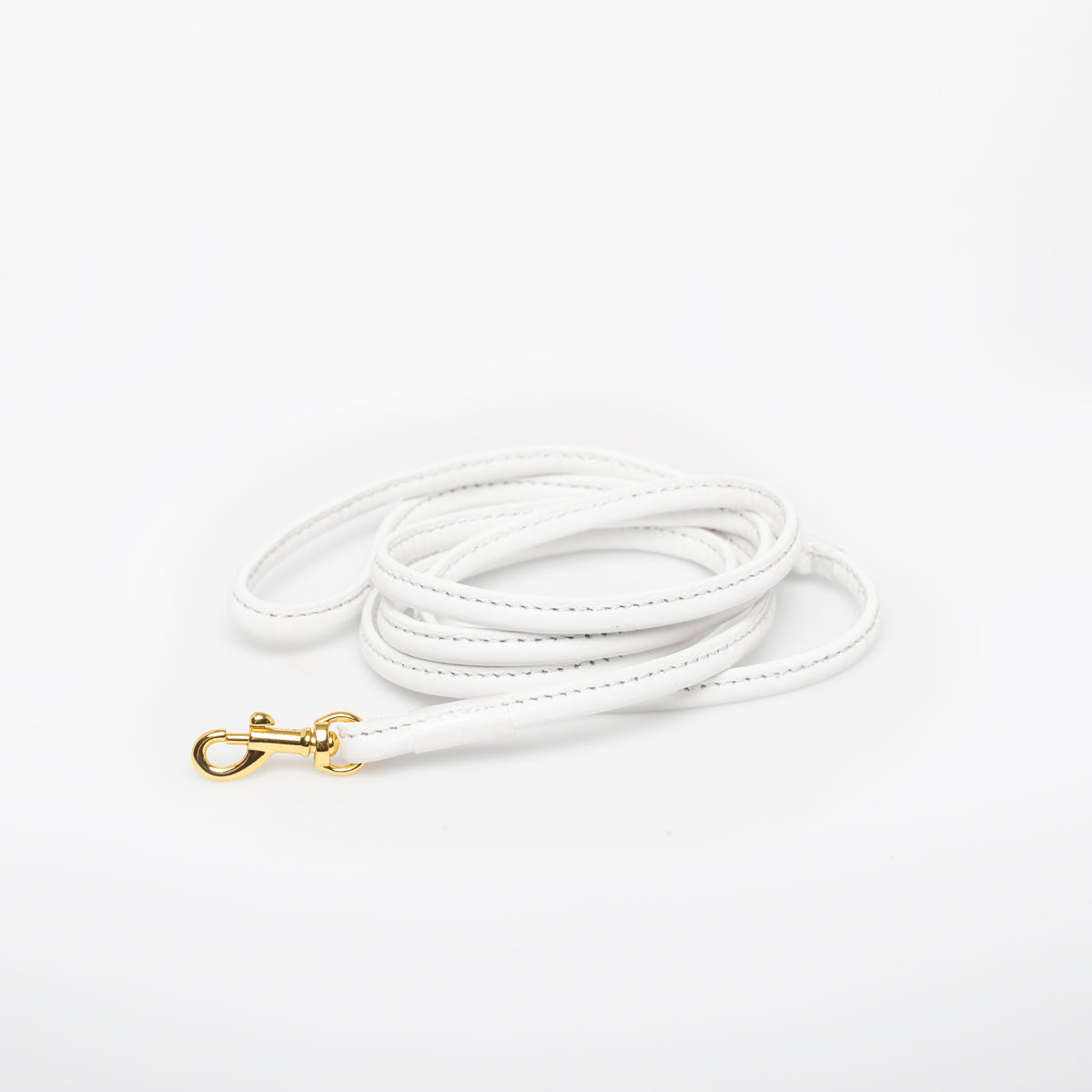 Laisse pour chien blanc