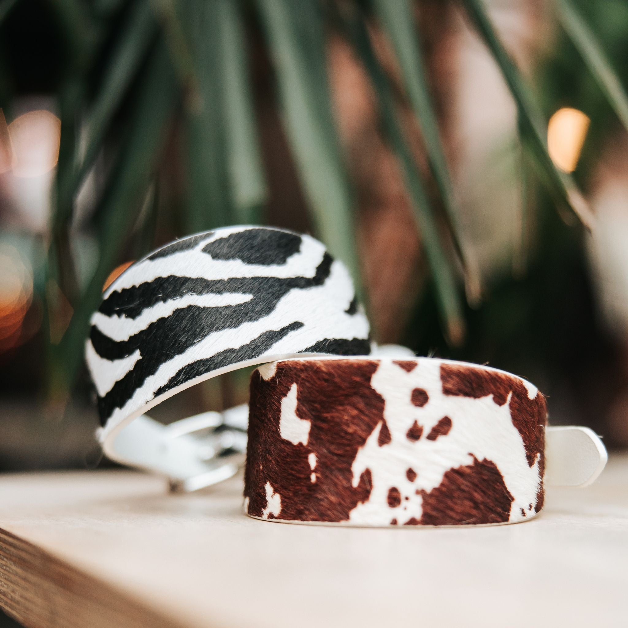 zebra-cow-dog-collars-wide.jpg